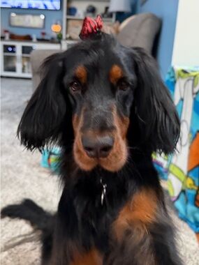 Meet your Posher, Kristina